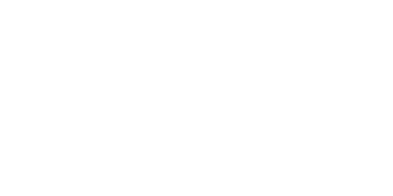 Logo-2020-español